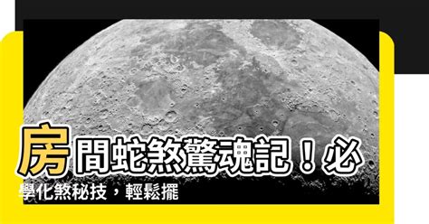 蛇煞化解|【房間蛇煞化解】破解房間蛇煞！風水大師教你化解厄運招好運 –。